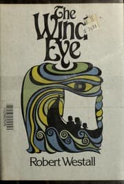 Cover of The wind eye