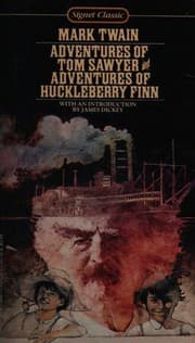 Cover of Novels (Adventures of Huckleberry Finn / Adventures of Tom Sawyer)