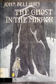 Cover of The Ghost in the Mirror