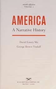 Cover of America Vol. 2