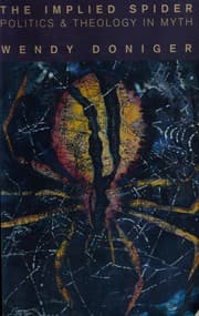 Cover of The implied spider