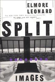Cover of Split Images