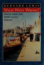 Cover of What went wrong?