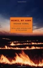 Cover of Ince Memed