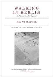 Cover of Walking in Berlin