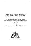 Cover of Big Falling Snow