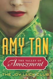 Cover of The valley of amazement