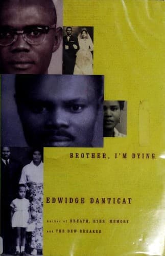 Cover of The Dew Breaker